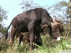 An athletic mother likes to masturbate a huge schlong.